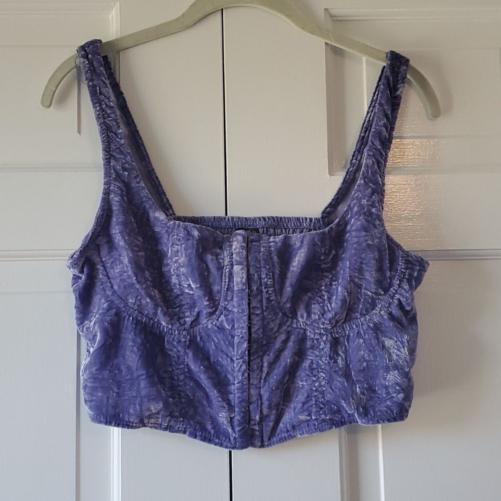 WILD FABLE CRUSHED VELVET CROPPED BUSTIER TOP SIZE SMALL PURPLE SEXY WITCHY